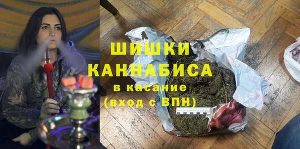 прущие грибы Беломорск