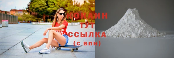 прущие грибы Беломорск
