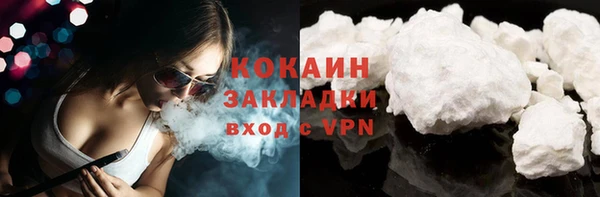 прущие грибы Беломорск