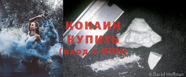 прущие грибы Беломорск