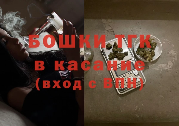 прущие грибы Беломорск