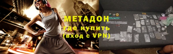 прущие грибы Беломорск
